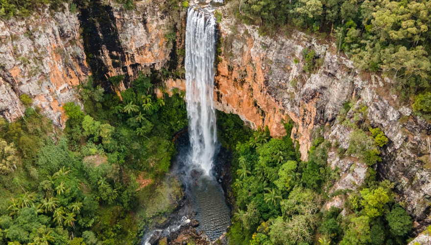 Purlingbrook Falls, Springbrook National Park, Queensland, Australia
