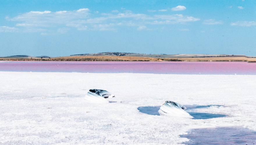 Bumbunga Salt Lake turned into pink in the summer time