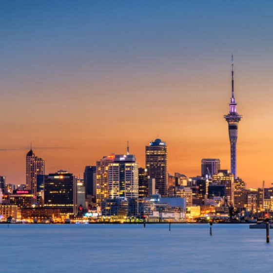 Auckland North 7-Day Round-trip: Coastal Charm and Adventure