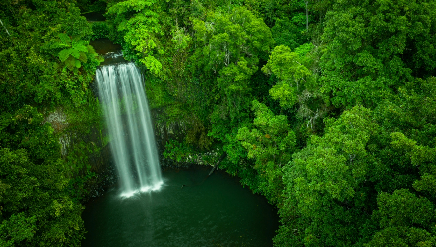 Millaa Millaa Falls, Atherton Tablelands, Queensland
