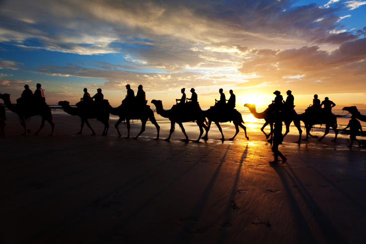 Sunset camel rides at Cable Beach